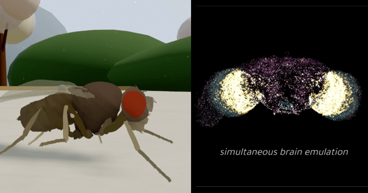 Eon | Upload the Human Mind